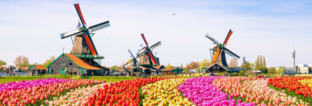 Dove andare dall’Aeroporto di Amsterdam Schiphol